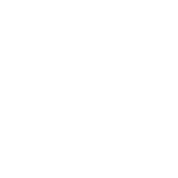 FAnn