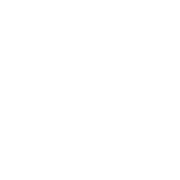 Pietro